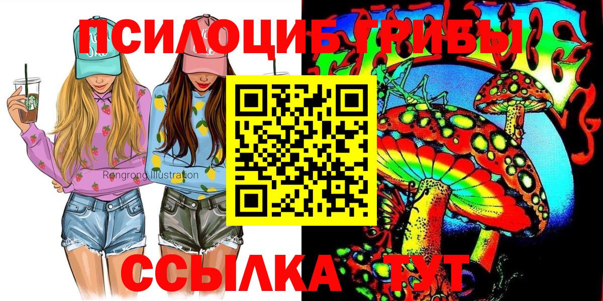 Алексеевка  Галлюциногенные грибы Cubensis  Вход с VPN 