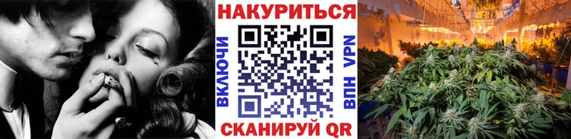 Шишки марихуана THC 21%  сайты даркнета Telegram  Алексеевка 